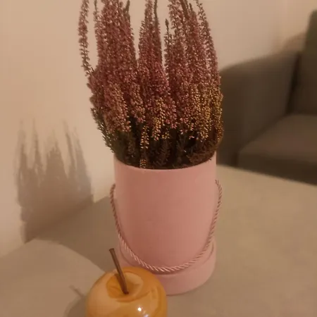 Wrzosowy Balkon Łódź