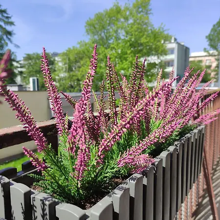 Wrzosowy Balkon Apartamento Łódź