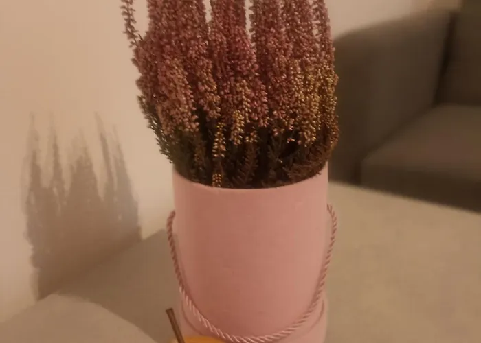 Wrzosowy Balkon Лодзь